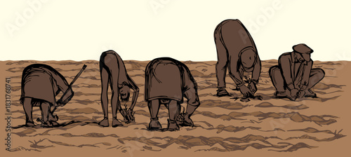 Vector drawing. A gardener weeding a garden