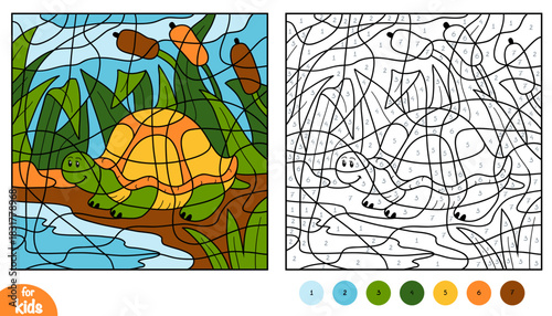 Cute turtle and background of pond in forest. Color by number page for kids. Educational activity game for preschool and kindergarten children. Square picture to learn numbers and colors