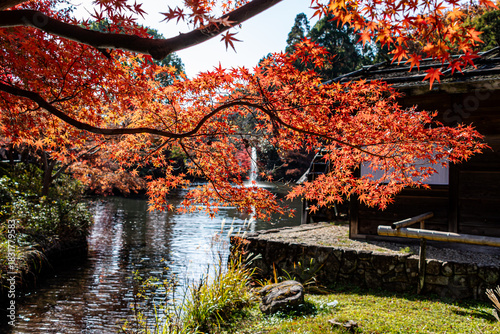 紅葉