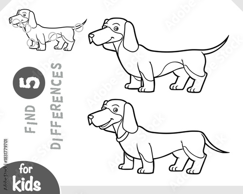 Cute pet character dachshund. Spot the differences game for kindergarten and preschool children. Black and white coloring page for kids about dog breeds