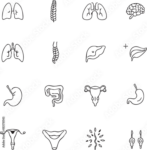 Human anatomy vector icon set with organs, brain, lungs, liver, stomach, reproductive system in black and white style