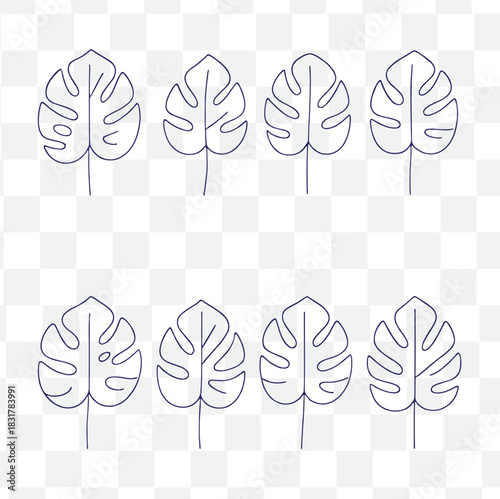 boho monstera leaf icon set