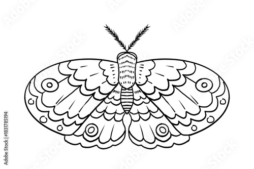 Celestial moth, butterfly line magic mystical tattoo. Universe wing moth. Celestial occult moon sketch. Line animal drawing design. Esoteric totem boho insect with space wings.