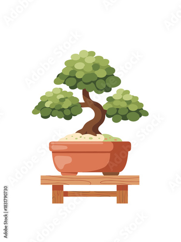 Bonsai tree in pot on wooden stand with white background  