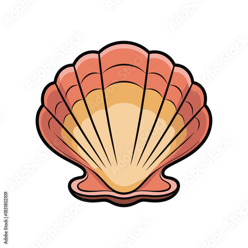 A seashell with a smooth, gradient, pale orange surface and a sturdy, dark outline.