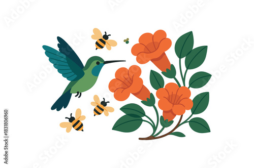 Flat vector illustration of bright hummingbird hovering near bold trumpet flowers with bees also present rounded shapes clean outline
