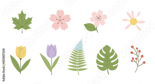A charming collection of flat design botanical illustrations featuring various leaves, flowers, and berries, perfect for spring and nature-themed projects.
