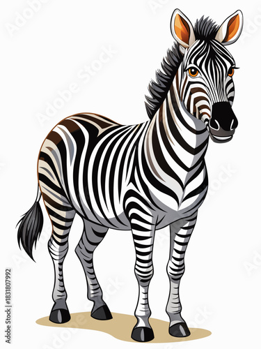 zebra real, full body , white background	