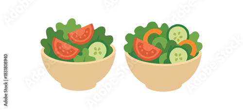 Flat vector illustration 2 simple salad bowls rounded forms minimal detail