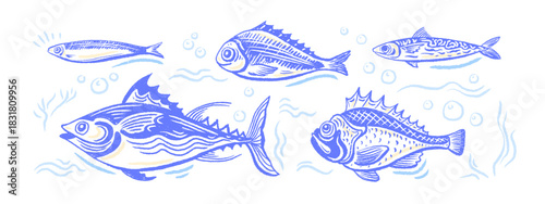 Fish set. Art tuna, sardine, mackerel. Crayon sign