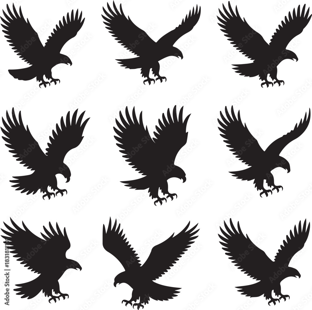 Obraz premium Black Eagle Silhouettes in Various Flight Positions on White Background Graphic