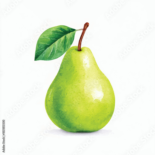 Fresh Green Pear Watercolor Illustration