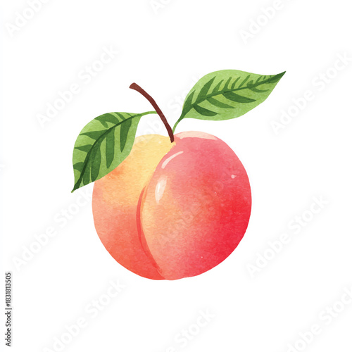 Fresh Watercolor Peach Illustration with Green Leaves