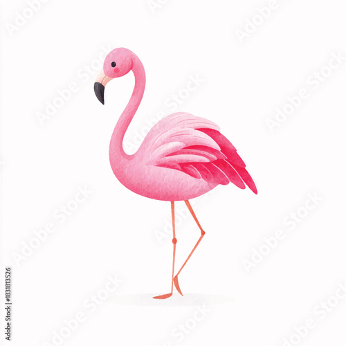 Graceful Pink Flamingo Tropical Bird Watercolor Illustration