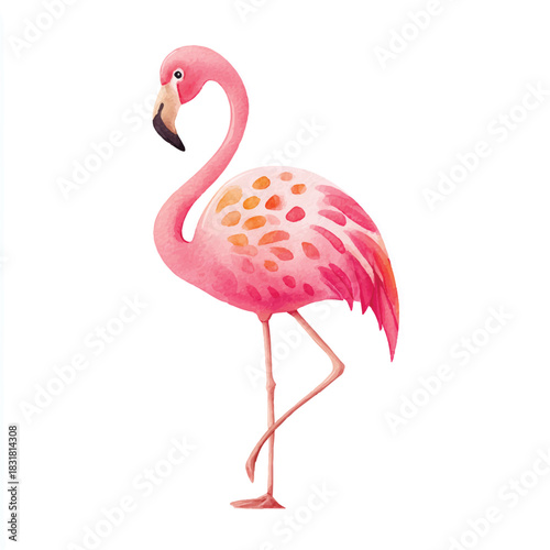 Elegant Pink Flamingo Watercolor Illustration, Tropical Bird Art