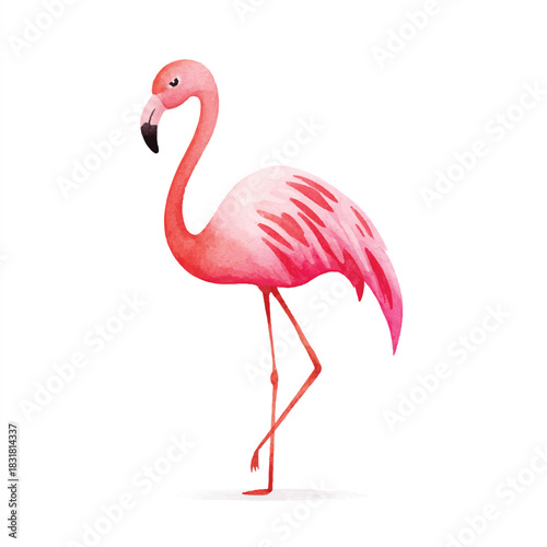 Elegant Pink Flamingo Watercolor Illustration