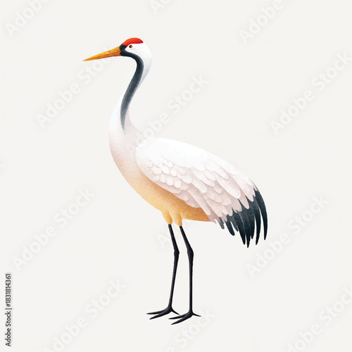 Elegant Red-crowned Crane Illustration. Graceful Japanese Bird Art.