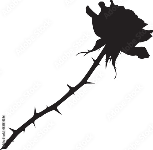 Dead tree branch with rose and branches vector illustration