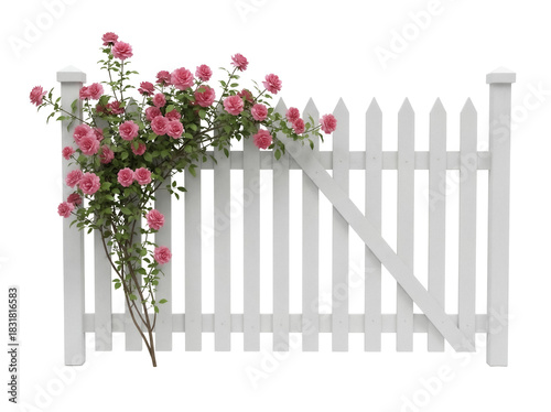 Foto Pink roses climbing on a white picket fence isolated PNG, romantic floral decora