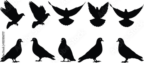 Set of black dove and pigeon silhouettes, flying with wings spread and standing in various poses, isolated on a white background, symbolizing peace, freedom, and grace for design projects.