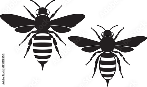Two striking black bee silhouettes on white background silhouette