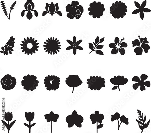 set of various types of black flower in white background