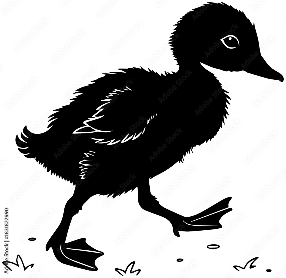 Fototapeta premium Duckling Walking – Cute Bird Silhouette