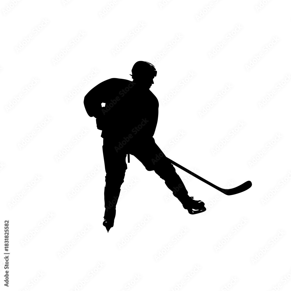 Obraz premium hockey player silhouette