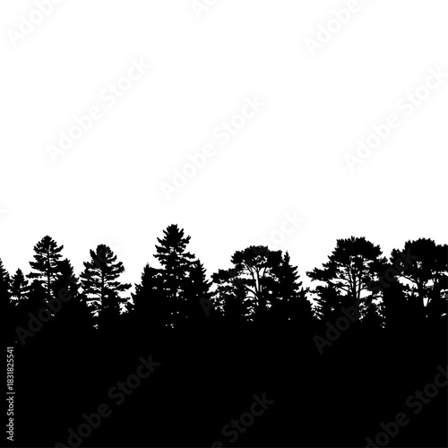 silhouettes of trees