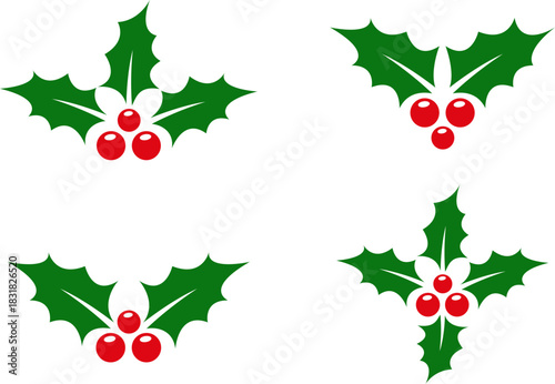 Holly berry leaves. Christmas decorations with holly berries. Greeting card.Vector