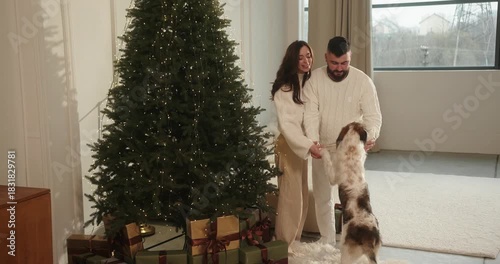 Happy young couple playing with their dog near christmas tree