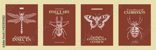 Insects. Set of posters with dragonfly, stag beetle, butterfly and spider