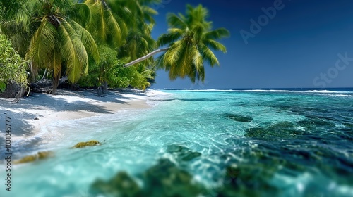Fototapeta Naklejka Na Ścianę i Meble -  Tropical beach adventure maldives nature photography serenity coastal paradise stunning viewpoint island vibes for relaxation