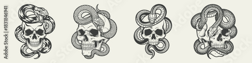 Four detailed illustrations of human skulls entwined with snakes, symbolizing mortality, wisdom, and danger in a vintage, dark art style