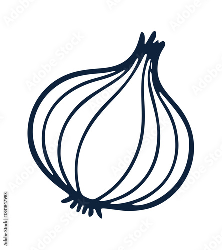 Hand drawn raw onion in outline form. This vector graphic is useful for illustrating mediterranean cuisine and cooking.