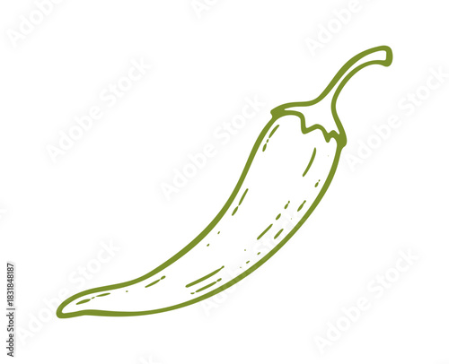 Hand drawn line art illustration of a green chili pepper.
