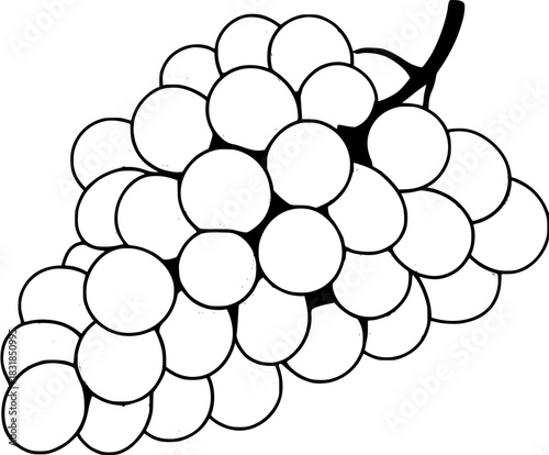 Bunches Bubbly Black White Grapes | Clean, isolated vector art for creative projects.