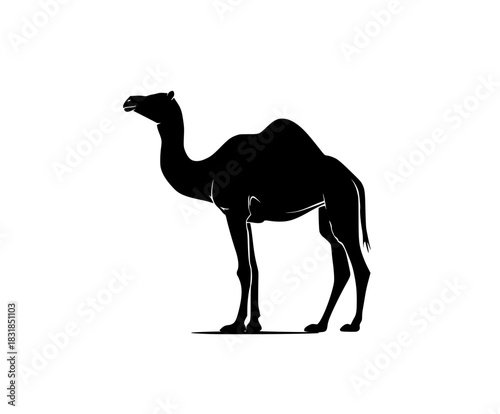 Camel Silhouette - Black White | Clean, isolated vector art for creative projects.