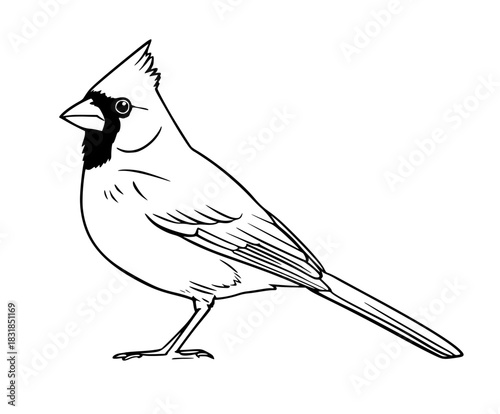 Whimsical Cardinal Perched Branch | Clean, isolated vector art for creative projects.