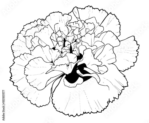 Elegant Black White Artwork Flower Bouquet | Clean, isolated vector art for creative projects.