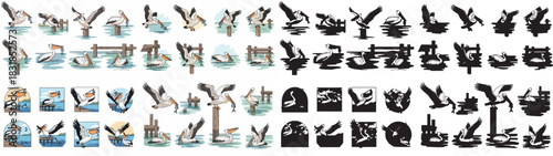 Pelican flight sequence with transparent background