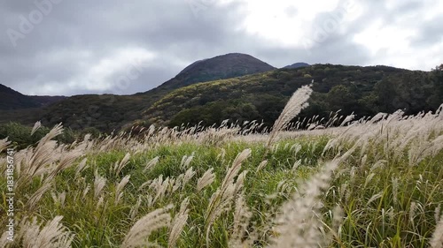 長者原タデ原湿原に広がる秋のススキ草原と山並みの高原風景