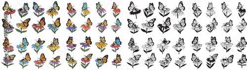 Flowers and butterflies collection with transparent background