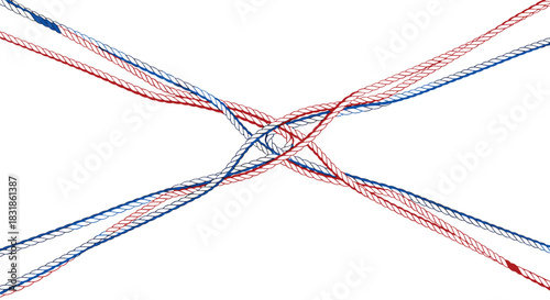 Abstract interwoven red and blue ropes on white background