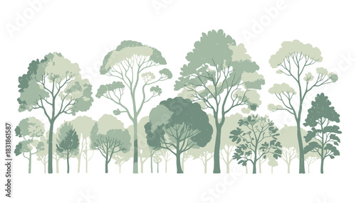 Architectural CAD Tree Line Drawings with Side View Forest Symbols and Wildlife Section Outlines for Landscape Design Vector Illustration