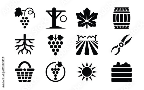 Vineyard and Winemaking Icons: Grape Clusters, Vine Leaves, Barrels, Harvest Tools, and Sun Symbols in Silhouette Style