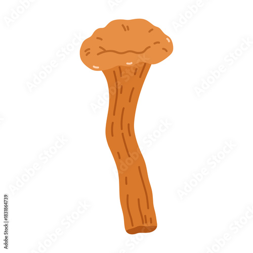 Chanterelle mushroom isolated on a white background. Vector hand-drawn illustration in a flat style. Perfect for decorations, logo, autumn and forest themes, various designs.