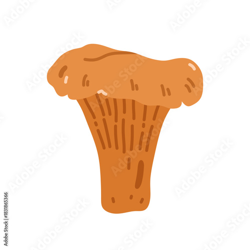 Chanterelle mushroom isolated on a white background. Vector hand-drawn illustration in a flat style. Perfect for decorations, logo, autumn and forest themes, various designs.