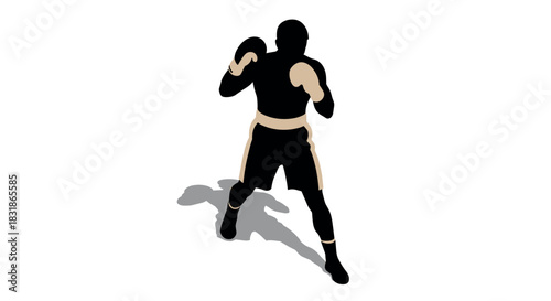 Dynamic boxer silhouette on white background with shadow detail