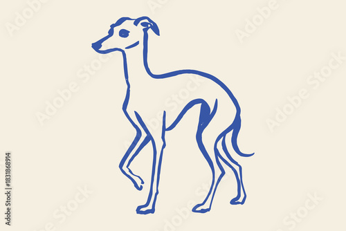 Italian greyhound dog naive line sketch vector illustration